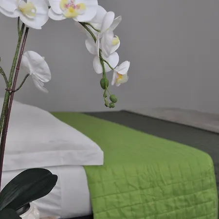 Διαμέρισμα Big House Colosseo